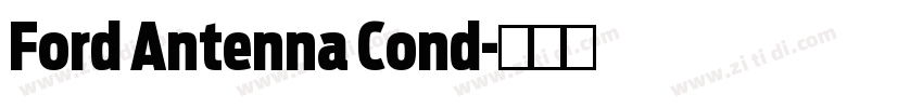 Ford Antenna Cond字体转换